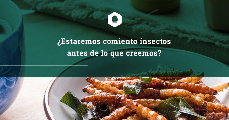 estaremos comiendo insectos antes de lo que creemos