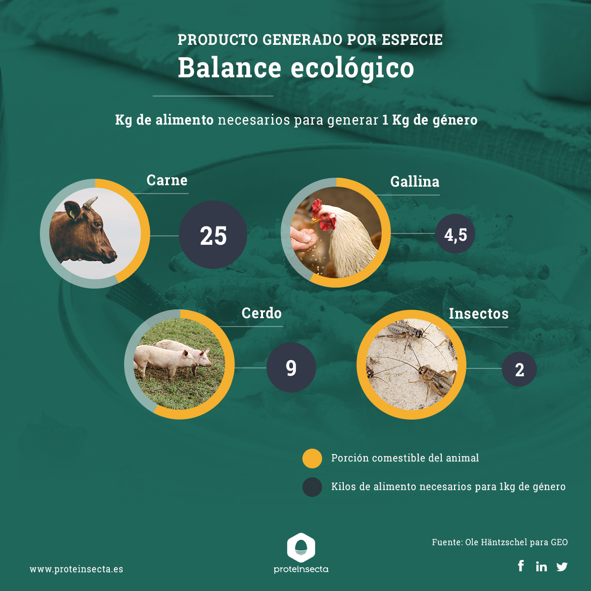 balance ecologico insectos