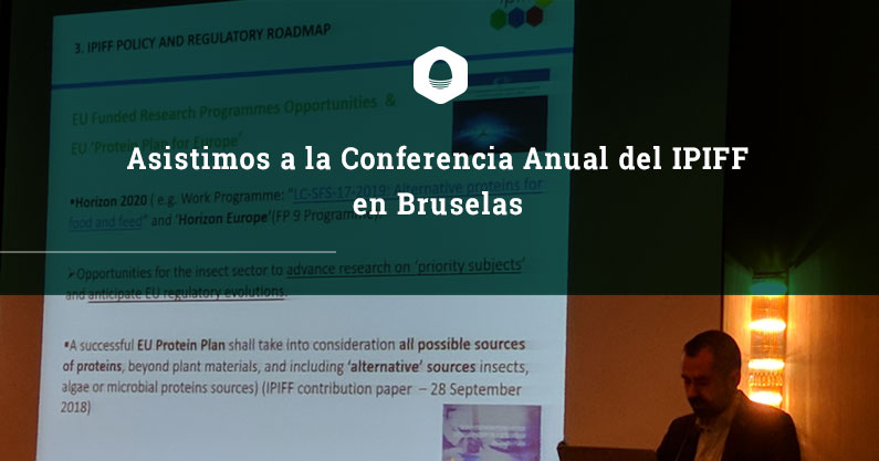 Conferencia Anual del IPIFF en Bruselas