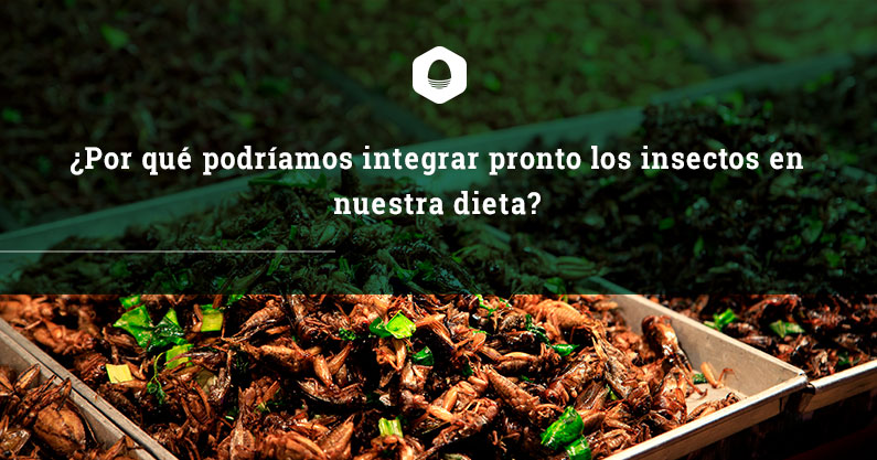 ¿Por qué podríamos integrar pronto los insectos en nuestra dieta?