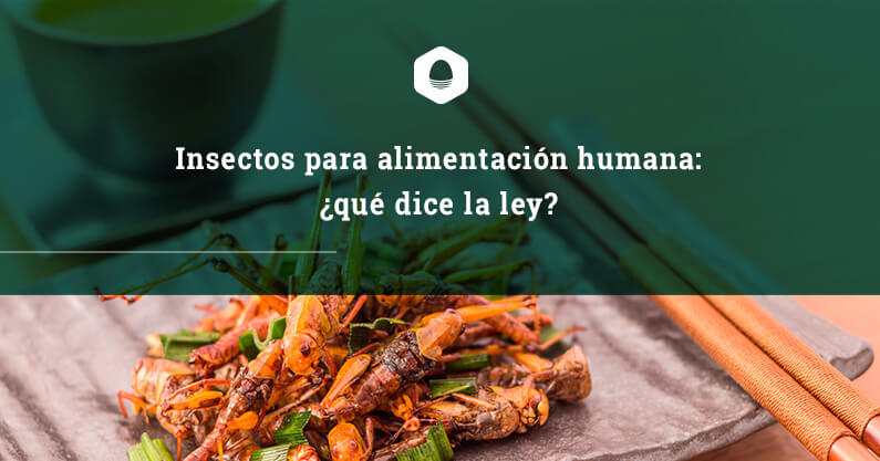 Insectos para alimentación humana ¿qué dice la ley?