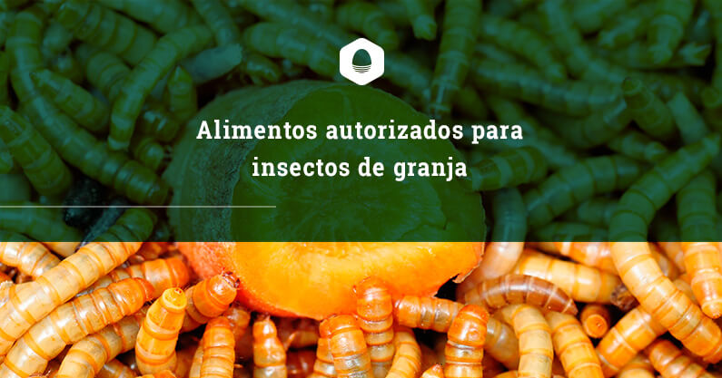 Alimentos autorizados para insectos de granja