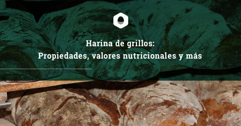 Harina de grillos: propiedades, valores nutricionales y más