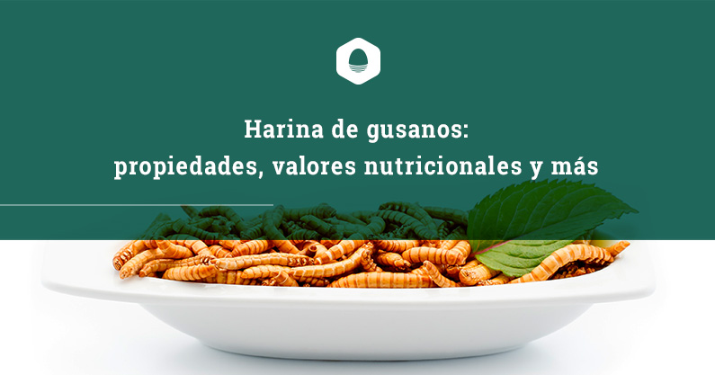 Harina de gusanos: propiedades, valores nutricionales y más