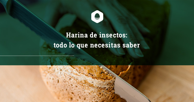 Harina de insectos: todo lo que necesitas saber