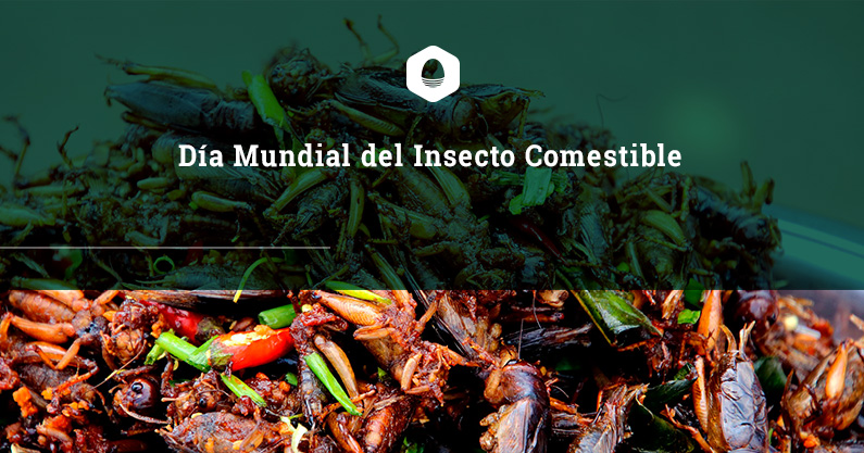 Día Mundial del Insecto Comestible