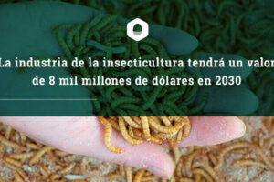 industria-insecticultura
