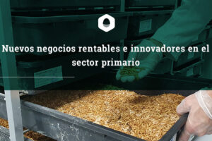 negocios-rentables-sector-primario