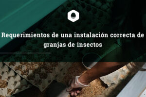 requerimientos-instalacion-granjas-insectos