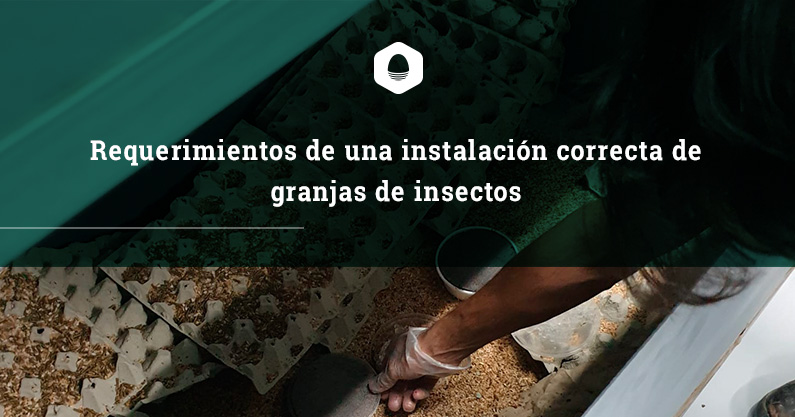 Requerimientos de una instalación correcta de granjas de insectos