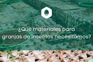 Que materiales para granjas de insectos