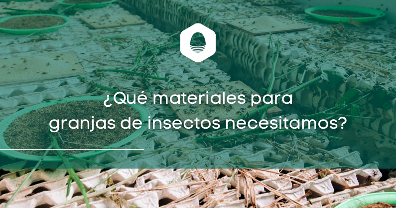 ¿Qué materiales para granjas de insectos necesitamos?