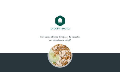 Videoconsultoría. Granjas de insectos. ¿Es negocio para ti?