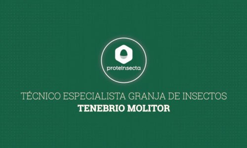 Técnico Especialista Granja de Insectos: Tenebrio molitor