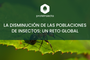 disminución poblaciones de insectos