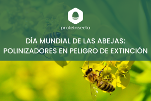 Día Mundial de las Abejas🐝: polinizadores en peligro de extinción