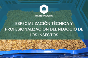 Especialización técnica y profesionalización del negocio de los insectos.