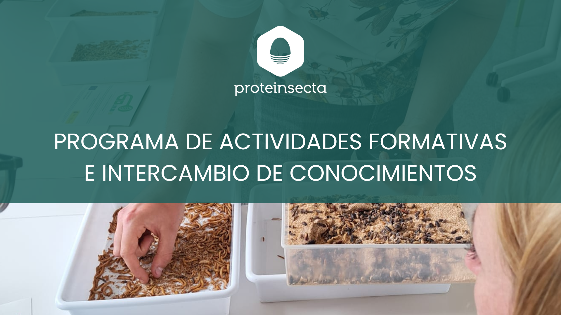 programa actividades formativas e intercambio de conocimientos