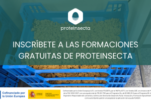 imagen portada blog prote (19)