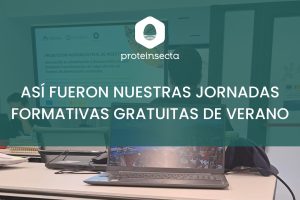 imagen portada blog prote