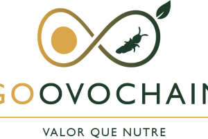 ovochainLOGO Ovochain valorizacion subproductos huevo mediante insectos